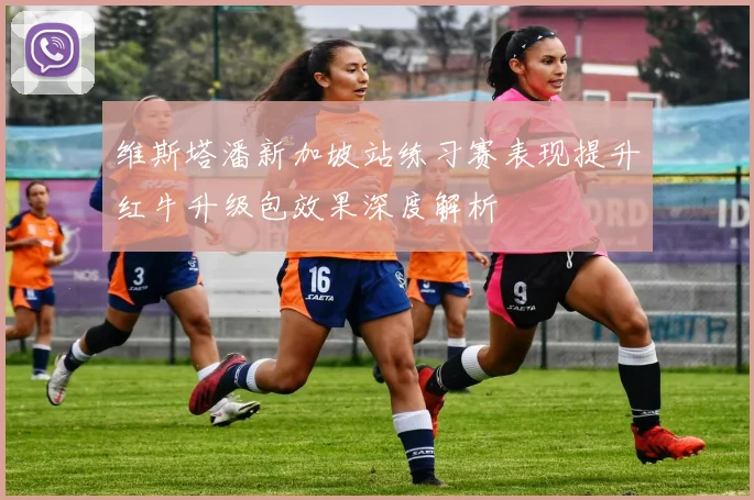维斯塔潘新加坡站练习赛表现提升红牛升级包效果深度解析