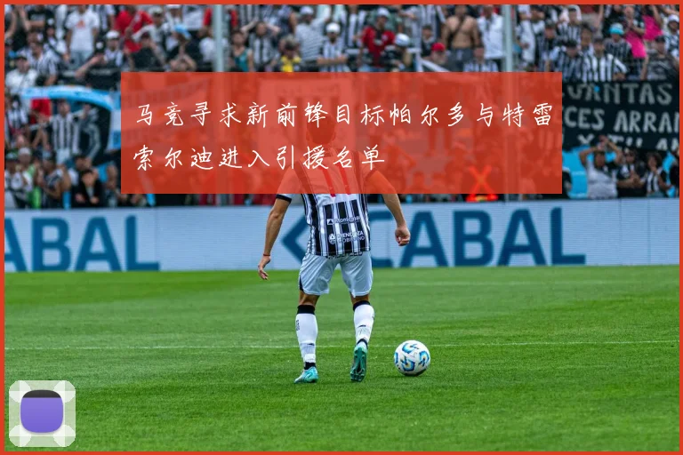 马竞寻求新前锋目标帕尔多与特雷索尔迪进入引援名单